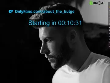 about_the_bulge Image 11