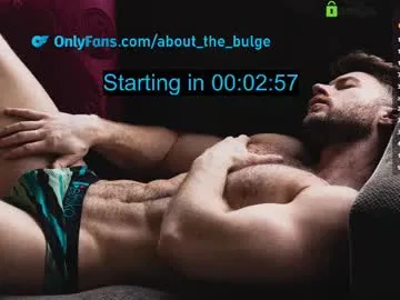 about_the_bulge Image 12