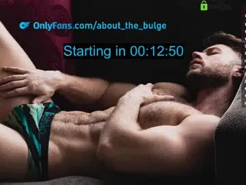 about_the_bulge Image 19
