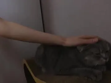 irohani_usagi – webcam model profile photo Image 5