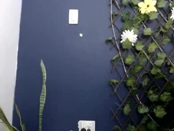 slaveandslave – webcam model profile photo Image 19