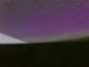 enzofx1 Image 4