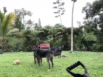 irohani_usagi – webcam model profile photo Image 14