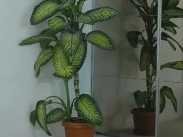 fredericabledsoe – webcam model profile photo Image 2