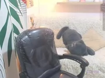 trainwithme – webcam model profile photo Image 4