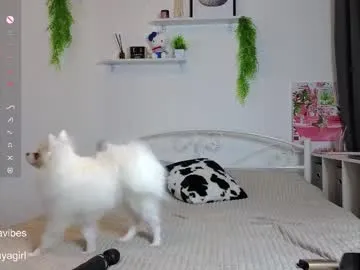 pusichka_ – webcam model profile photo Image 17