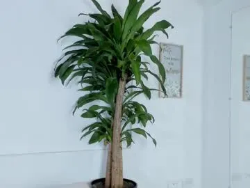 melissa_latingirl Image 8