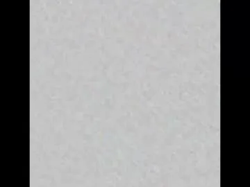 Anita-vega – webcam model profile photo Image 5