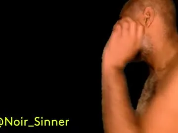 sinnernoir Image 2