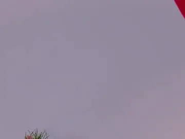 Anita-vega – webcam model profile photo Image 7