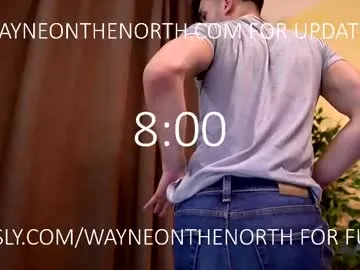 waynenorth Image 12