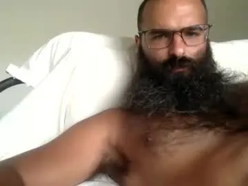 woof_wolf37 Image 13