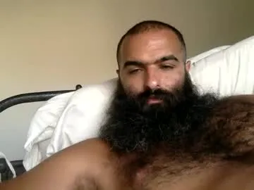 woof_wolf37 Image 17