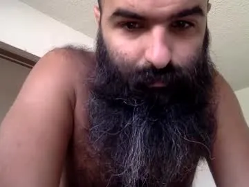 woof_wolf37 Image 19