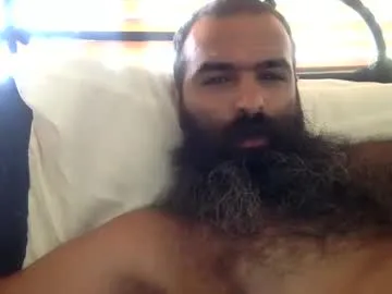 woof_wolf37 Image 6