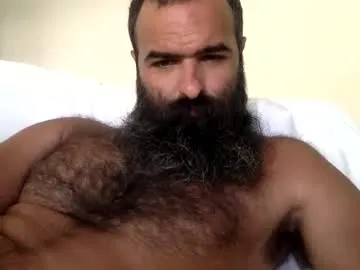 woof_wolf37 Image 8