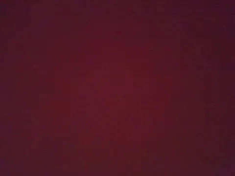 dears_pearlss – webcam model profile photo Image 3