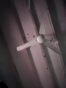 Kakushi_dori – webcam model profile photo Image 3