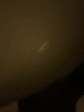 irohani_usagi – webcam model profile photo Image 4