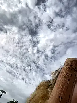 MaximoBenetti – webcam model profile photo Image 14