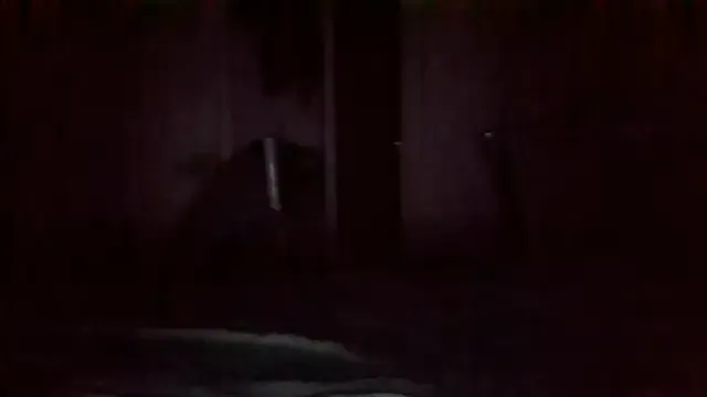 PumaShyXD – webcam model profile photo Image 8