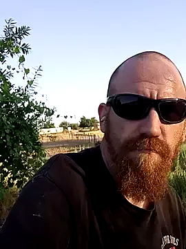 CaliBredMetalHeadDaddy Image 7
