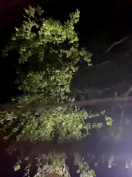 kaliana_ggh – webcam model profile photo Image 16