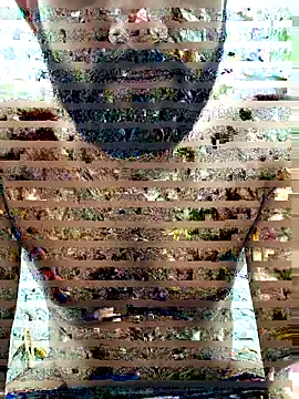 devilboy-8989 Image 4