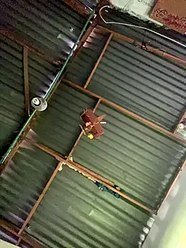 PabloArena – webcam model profile photo Image 10