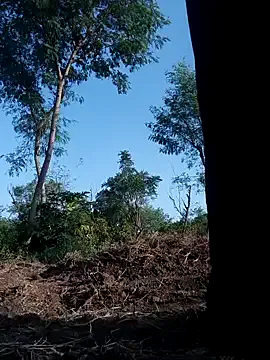 PumaShyXD – webcam model profile photo Image 13