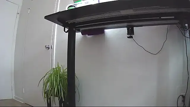 gracie_sexi – webcam model profile photo Image 6