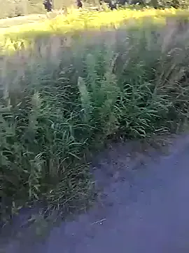 Anita-vega – webcam model profile photo Image 7