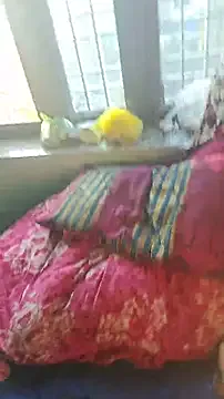 irohani_usagi – webcam model profile photo Image 5