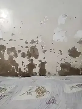 dears_pearlss – webcam model profile photo Image 16