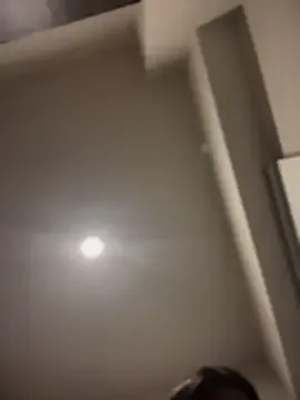 bellidream – webcam model profile photo Image 11