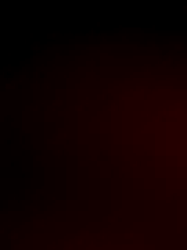 lioncluess – webcam model profile photo Image 10