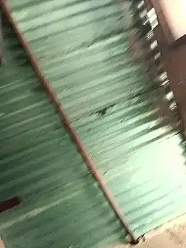 SallyDinosaur chat room preview Image 2