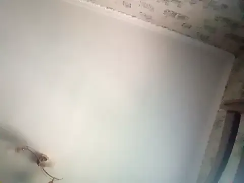 NORA_NEKO_2_2 – webcam model profile photo Image 2