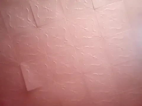 NORA_NEKO_2_2 – webcam model profile photo Image 3