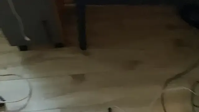 roouse – webcam model profile photo Image 10