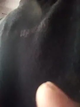 bisexualmilf – webcam model profile photo Image 18