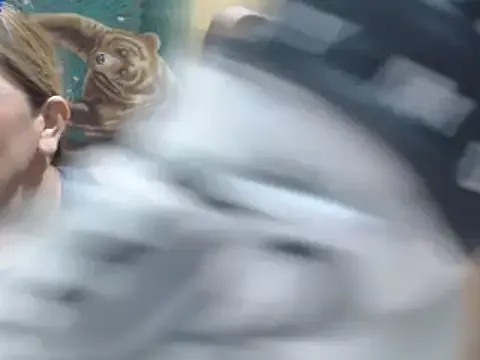 someone_sweet – webcam model profile photo Image 16