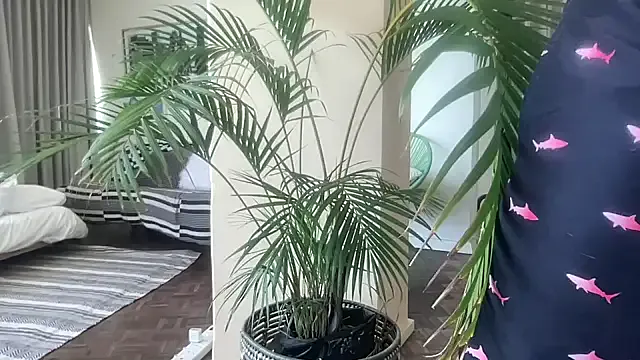 VeryNiceGuy – webcam model profile photo Image 12