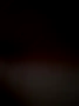 Passfisting Image 7