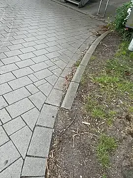 Public_sexyxxx Image 3