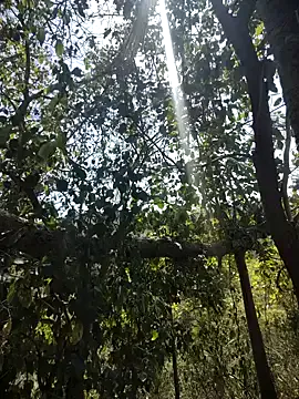 Rinku5553 Image 6
