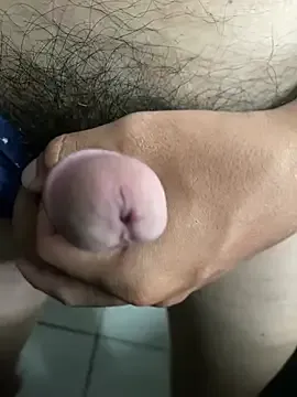 SievingPrep's Thumb Image