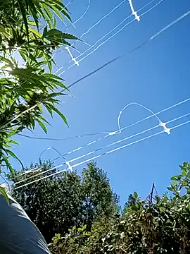 Benjamin_show – webcam model profile photo Image 16