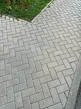 DomManlyGuy – webcam model profile photo Image 18