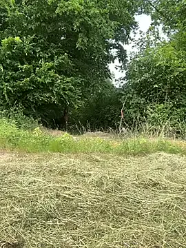 unconnudu21000 Image 13